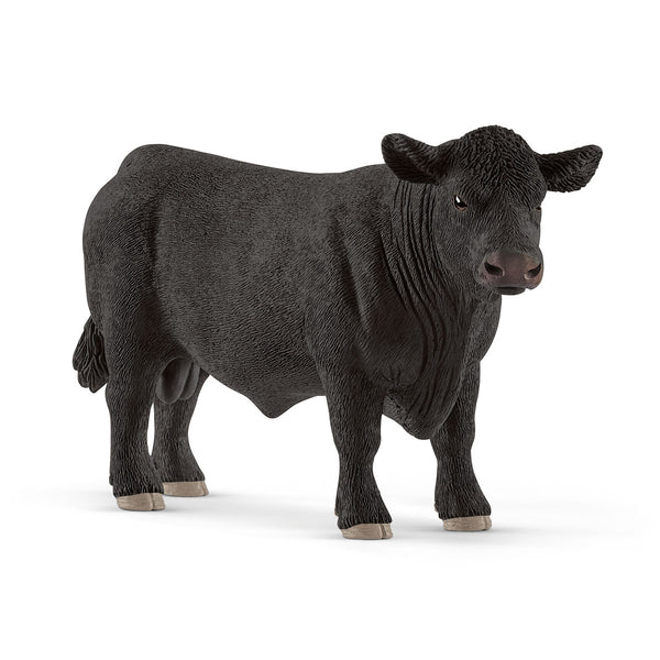 Black Angus bull