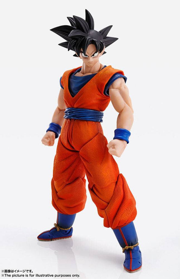 Tamashii Nations - Imagination Works SON GOKU