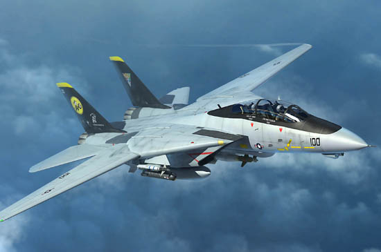 Trumpeter - Trumpeter 03919 1/144 F-14D Tomcat