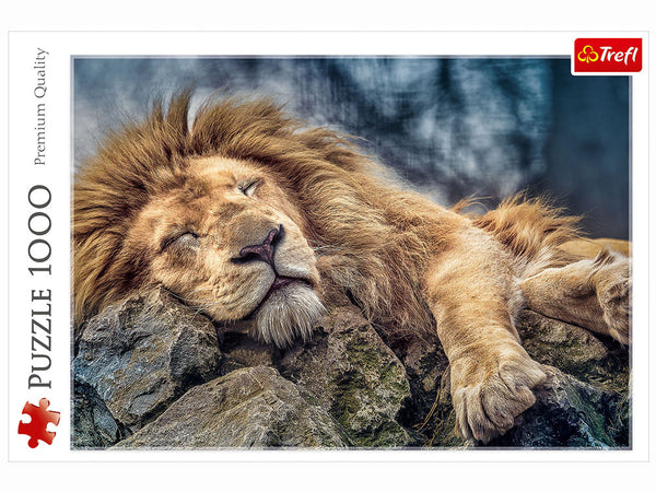 1000pc Sleeping Lion