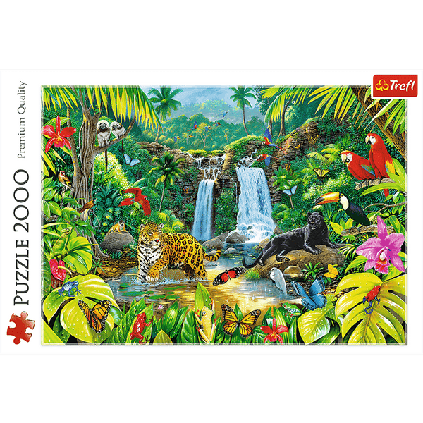 2000pc Tropical Forest