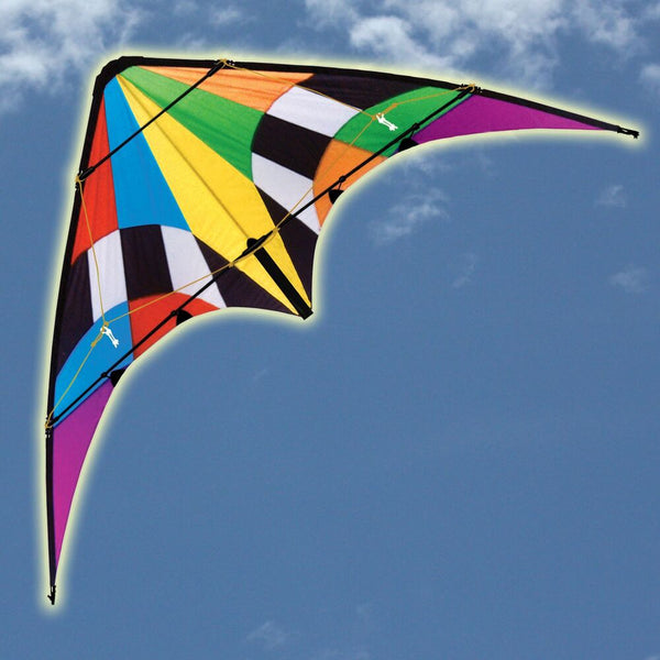 Firestorm Sport Kite Dual Control