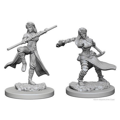 D&D Nolzurs Marvelous Unpainted Miniatures: Human Female Monk