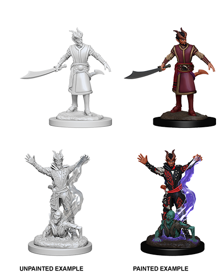 D&D Nolzurs Marvelous Unpainted Miniatures: Male Tiefling Warlock