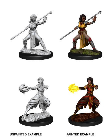 D&D Nolzurs Marvelous Unpainted Miniatures: Female HalfElf Monk