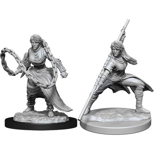 D&D Nolzurs Marvelous Unpainted Miniatures: Human Monk Female