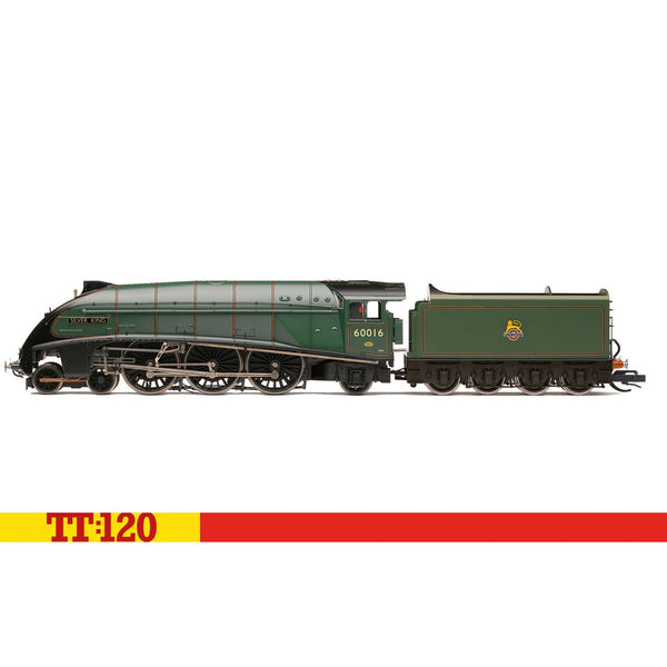 TT:120 BR Class A4 462 60016 Silver King  Era 4